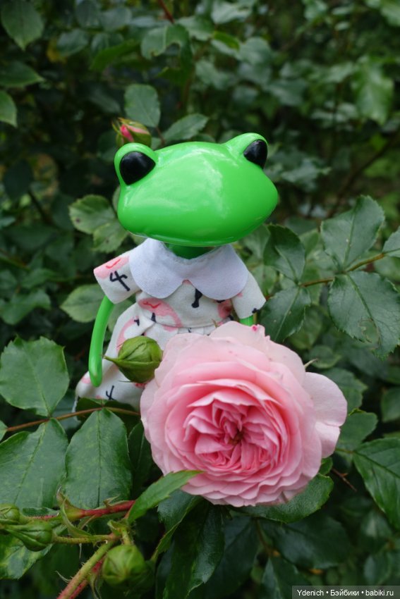 Моя лягушечка Wonder frog (фото 6)