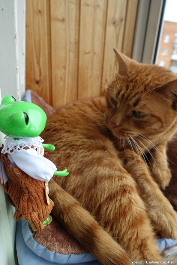 Моя лягушечка Wonder frog (фото 2)