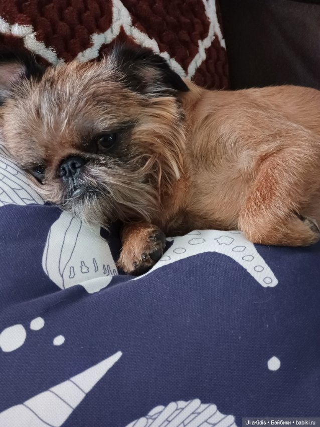 История одной американской куклосемьи. Кен и Барби с блошиного рынка