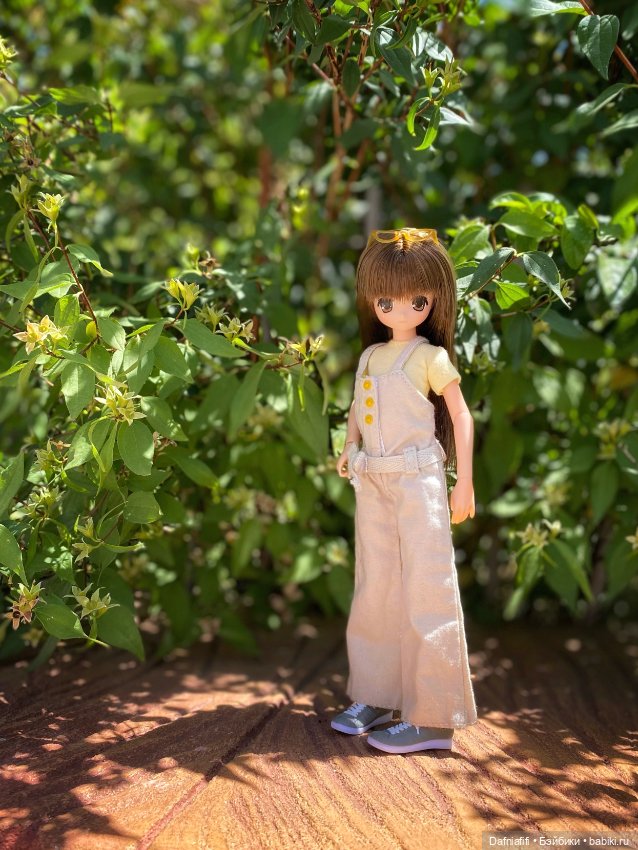 Азоночки — Куклы Azone (Азон) и тела Pure Neemo: фото