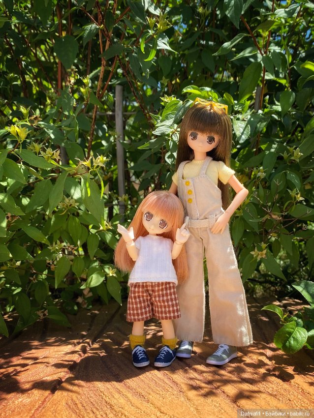 Азоночки — Куклы Azone (Азон) и тела Pure Neemo: фото (фото 6)