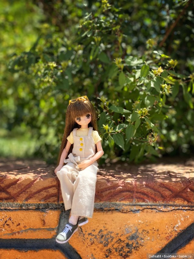Азоночки — Куклы Azone (Азон) и тела Pure Neemo: фото