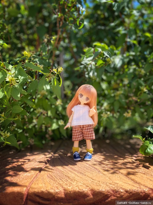 Азоночки — Куклы Azone (Азон) и тела Pure Neemo: фото