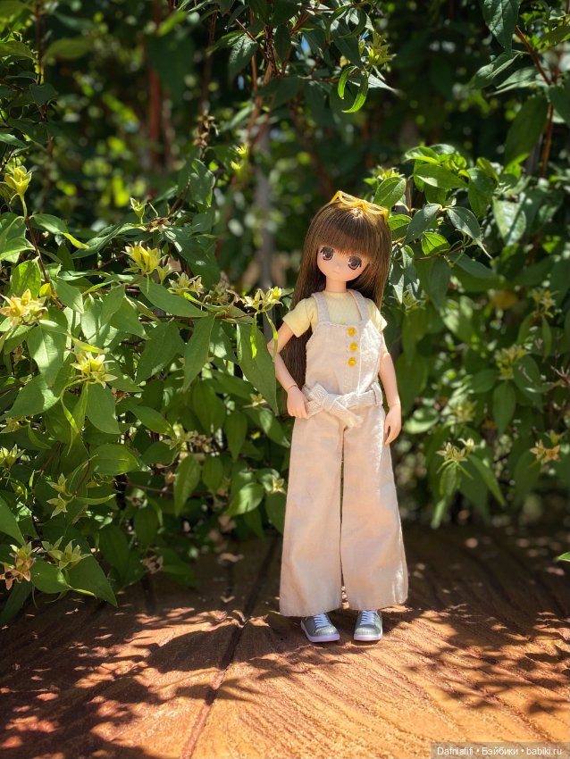 Азоночки — Куклы Azone (Азон) и тела Pure Neemo: фото