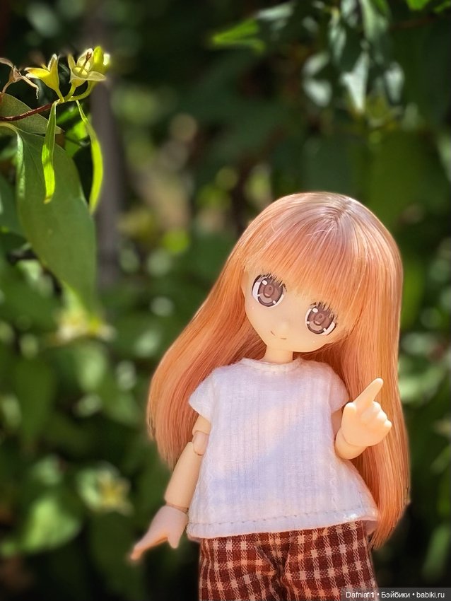 Азоночки — Куклы Azone (Азон) и тела Pure Neemo: фото