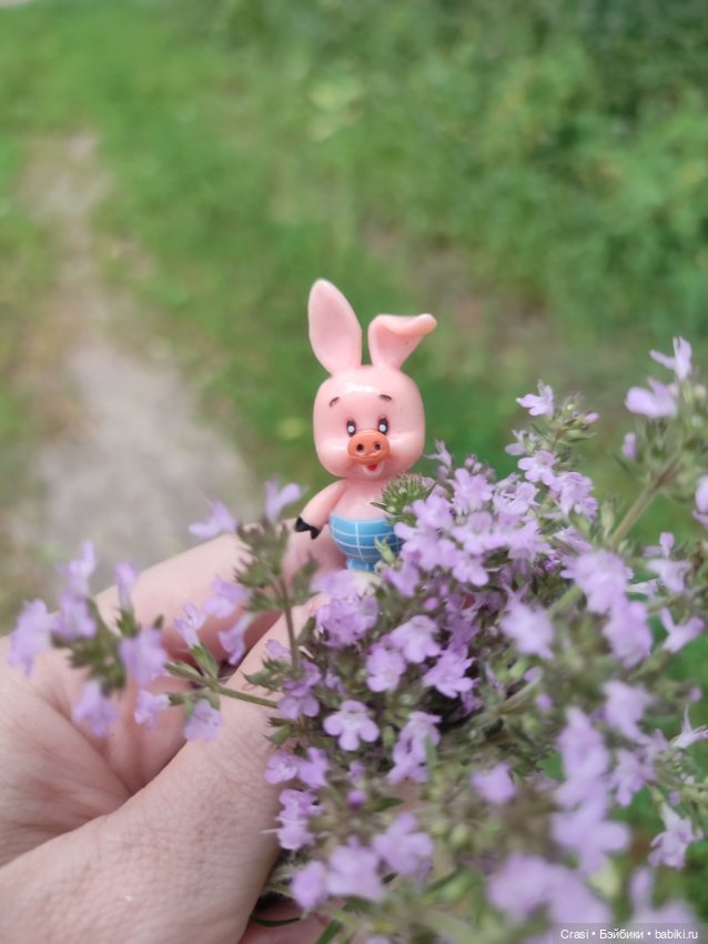 Хрюшкина прогулка ☀️🌳🐷 — Коллекционные фигурки (разное): животные