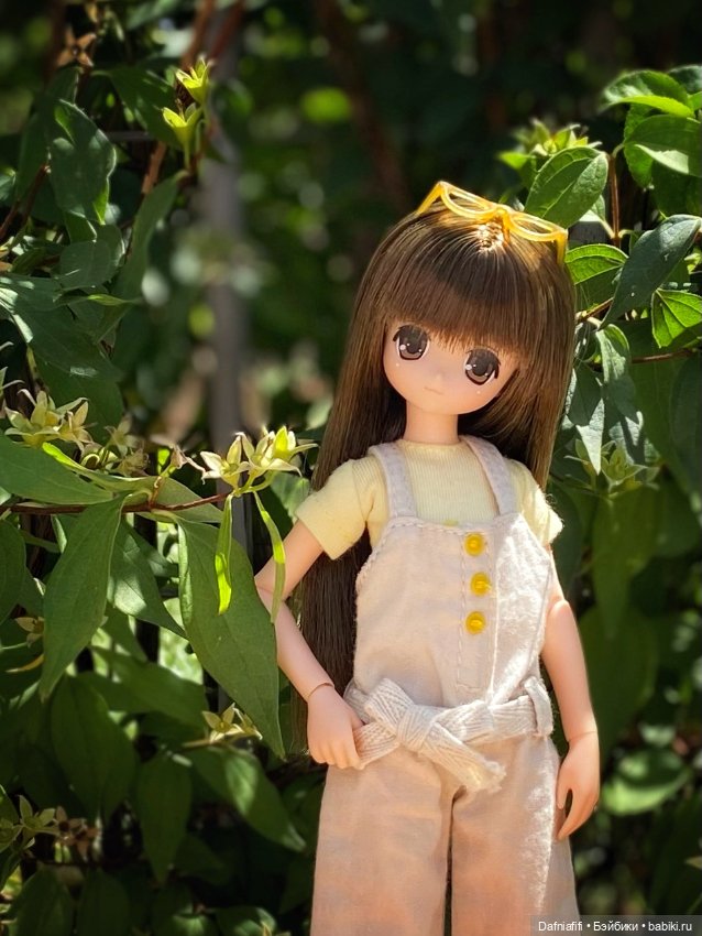 Азоночки — Куклы Azone (Азон) и тела Pure Neemo: фото