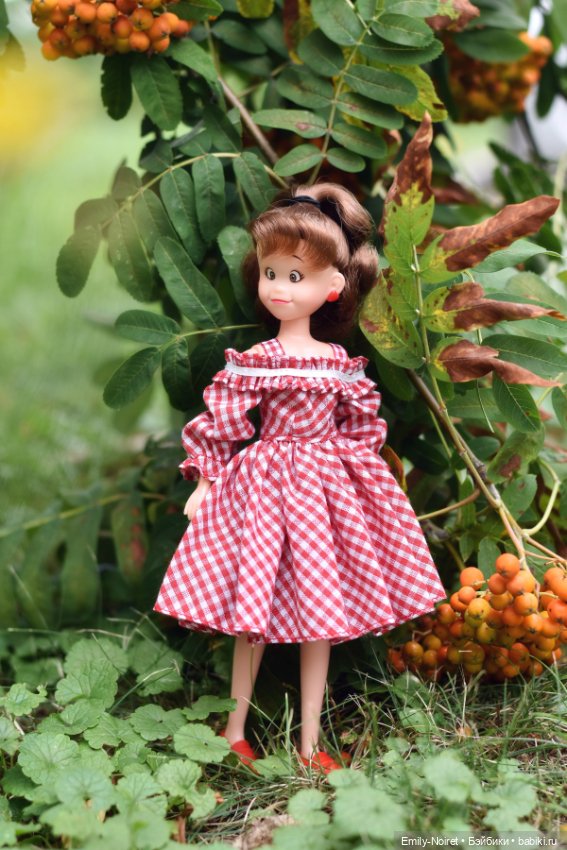 Ку-чан — Куклы Takara Tomy (Такара): Licca (Ликка) (фото 5)