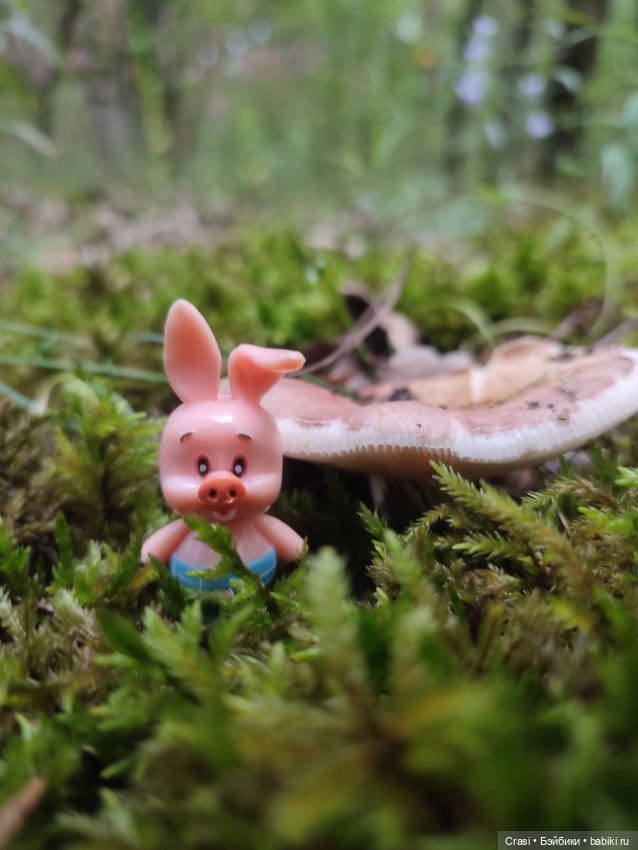 Хрюшкина прогулка ☀️🌳🐷 — Коллекционные фигурки (разное): животные