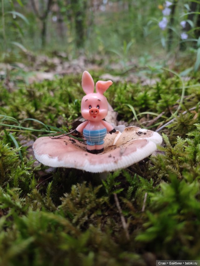 Хрюшкина прогулка ☀️🌳🐷 — Коллекционные фигурки (разное): животные