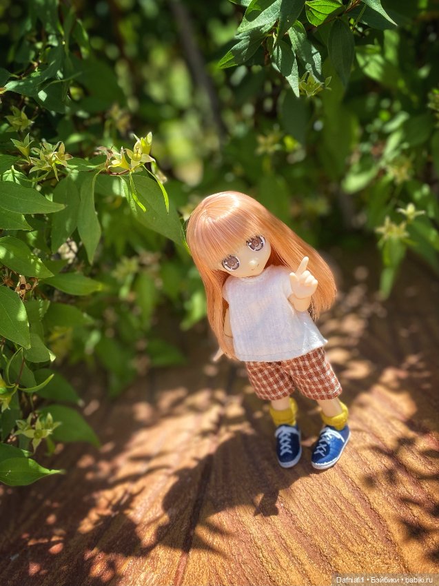 Азоночки — Куклы Azone (Азон) и тела Pure Neemo: фото