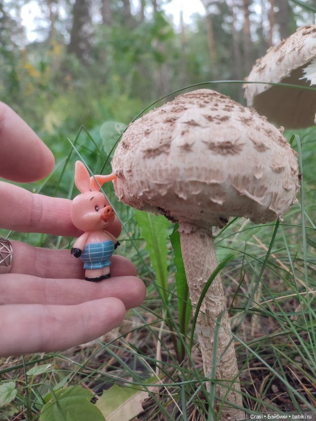 Хрюшкина прогулка ☀️🌳🐷 — Коллекционные фигурки (разное): животные (фото 2)