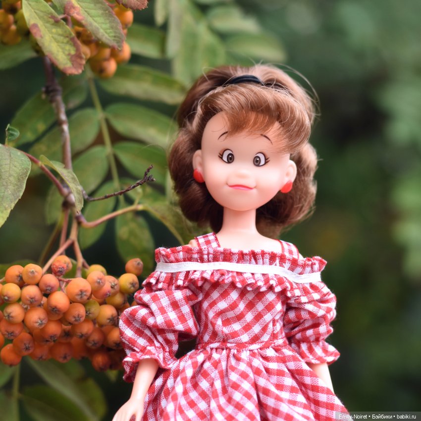 Ку-чан — Куклы Takara Tomy (Такара): Licca (Ликка)