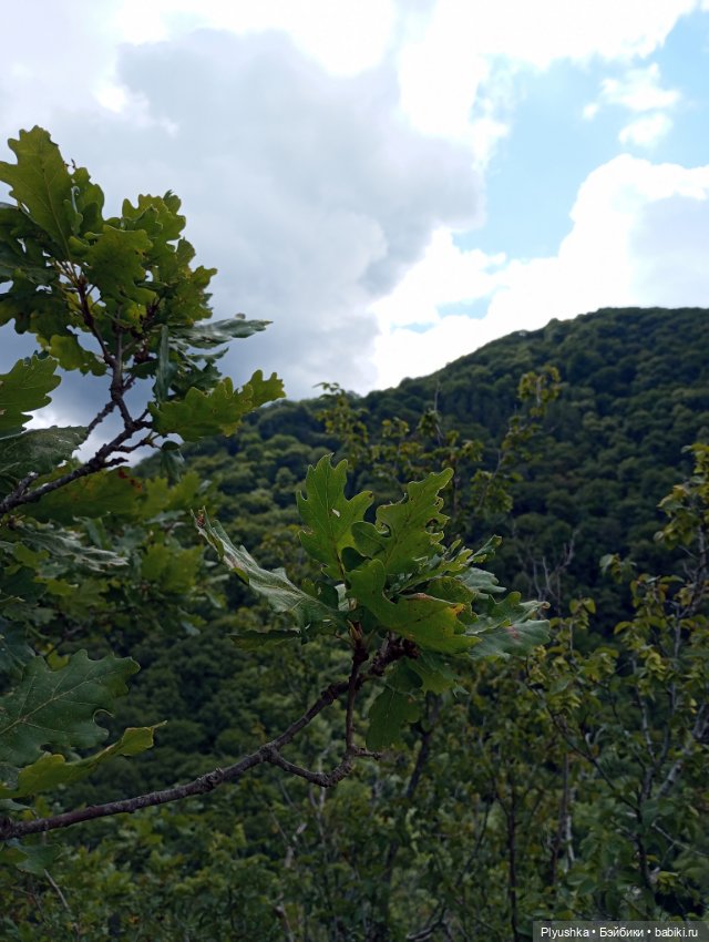 Путешествие маленьких Блайзочек