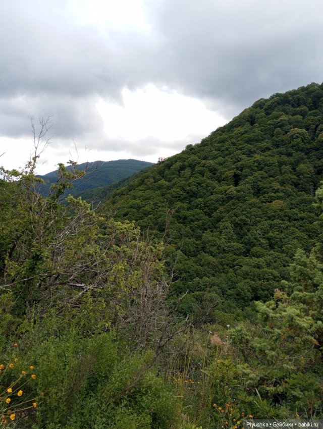 Путешествие маленьких Блайзочек