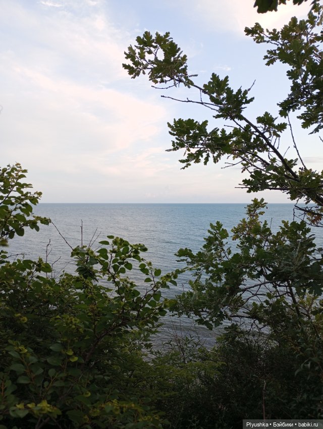 Путешествие маленьких Блайзочек