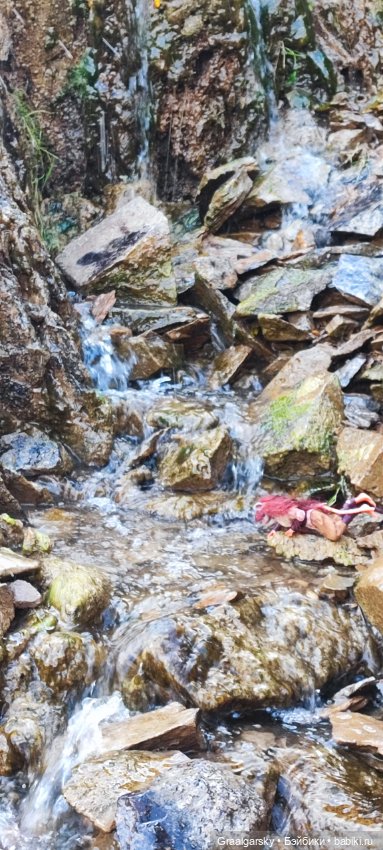 3Д-БЖД и крыса путешественница (фото 9)