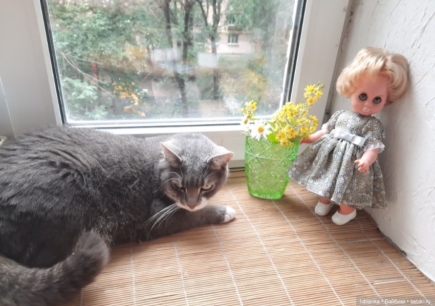 Размножение сердиток-зеленоглазок💚😜💚