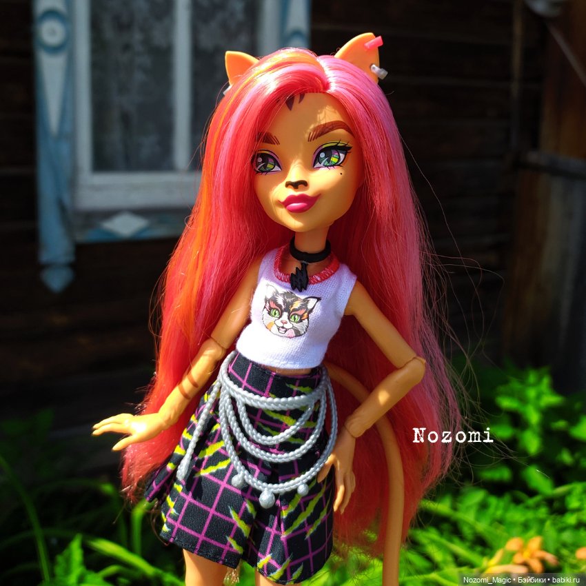 Куклы Monster High и Ever After High: G1 (фото 4)