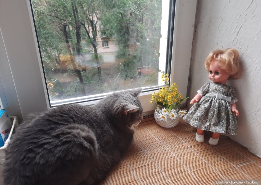 Размножение сердиток-зеленоглазок💚😜💚 (фото 9)