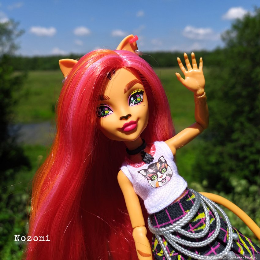 Куклы Monster High и Ever After High: G1 (фото 3)