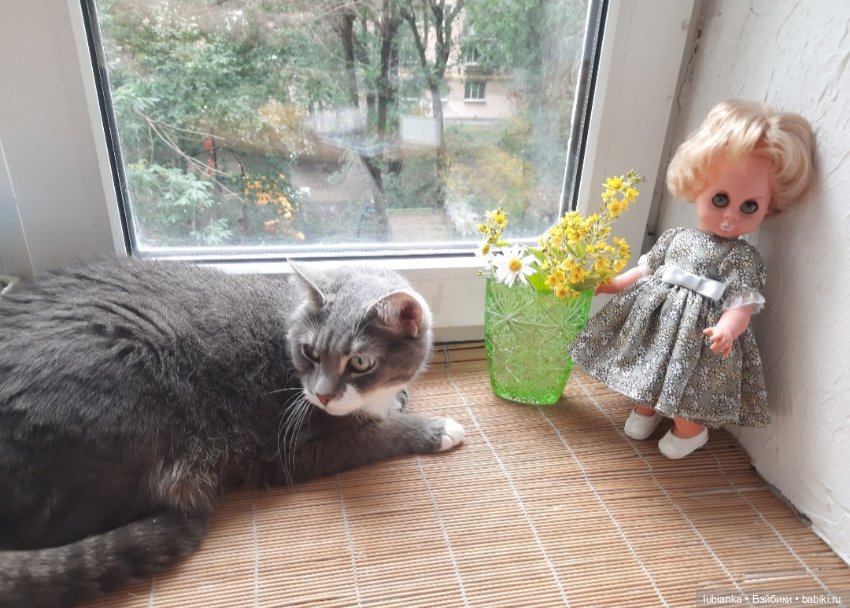 Размножение сердиток-зеленоглазок💚😜💚 (фото 10)