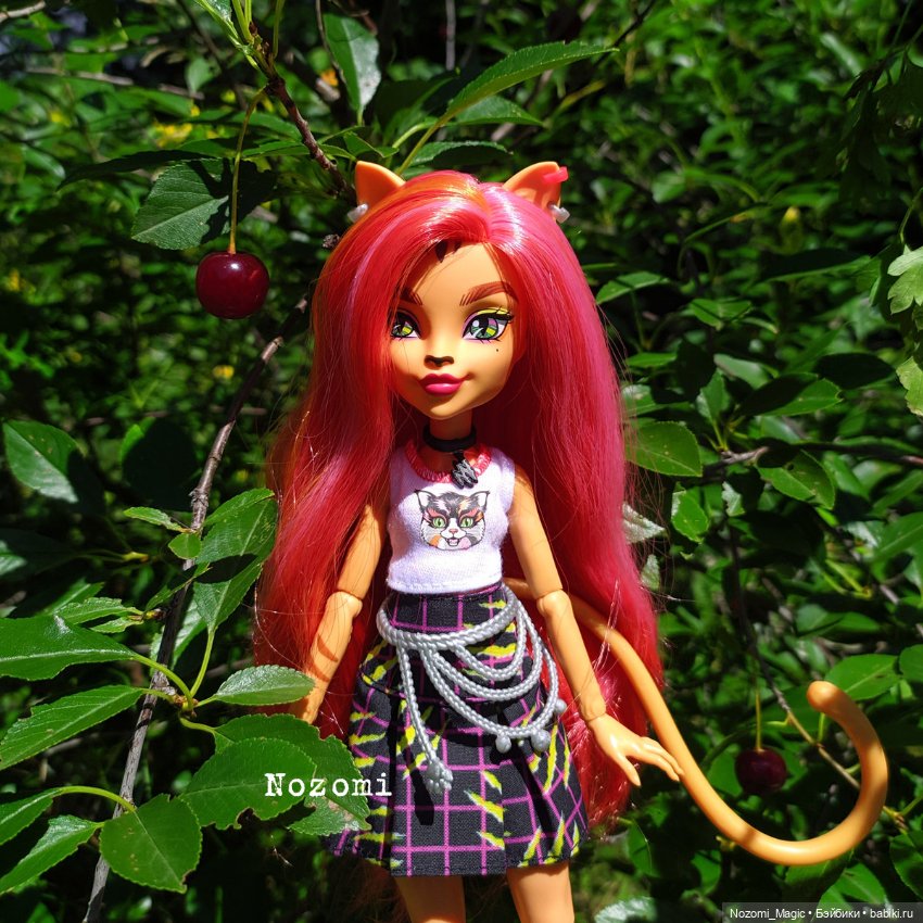 Куклы Monster High и Ever After High: G1 (фото 2)