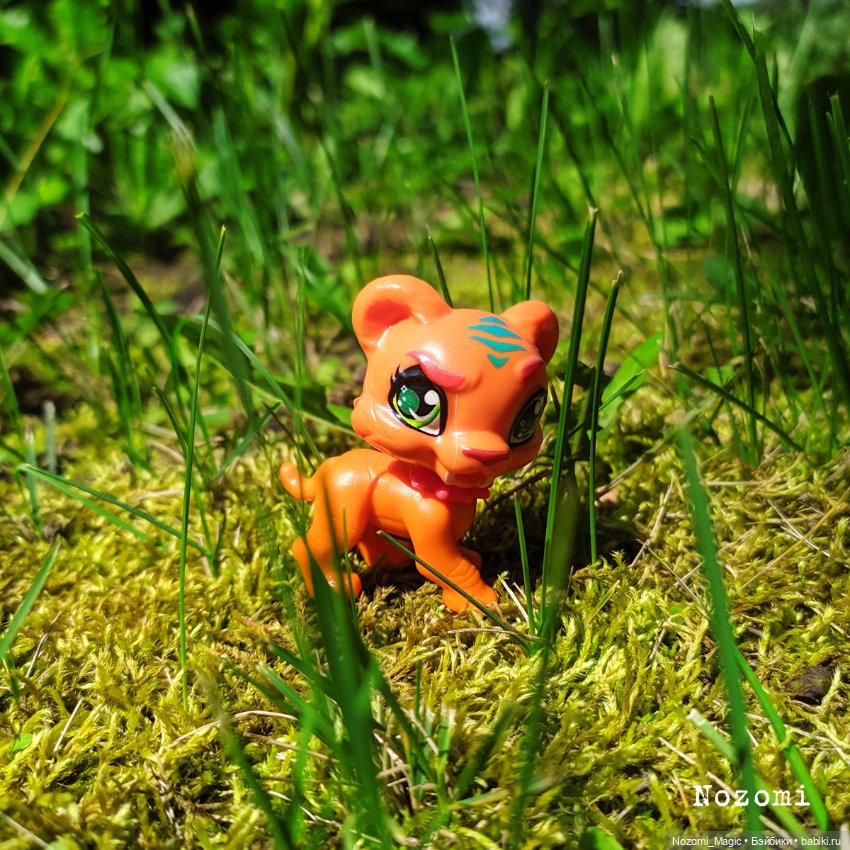 Куклы Monster High и Ever After High: G1 (фото 6)