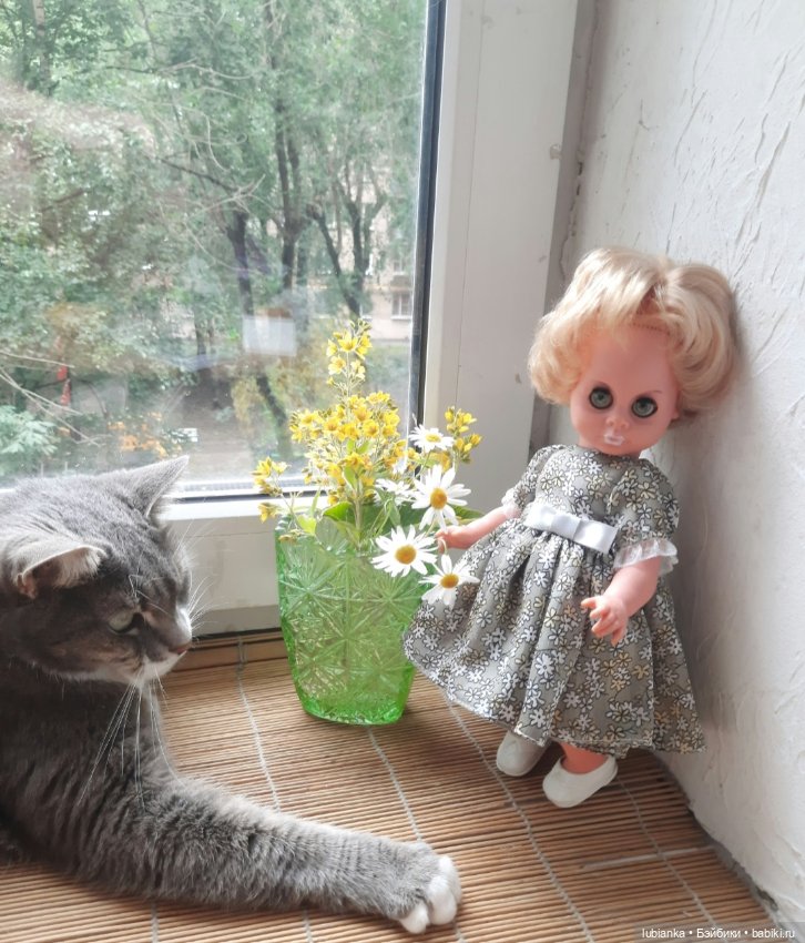 Размножение сердиток-зеленоглазок💚😜💚