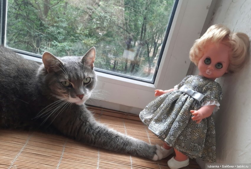 Размножение сердиток-зеленоглазок💚😜💚