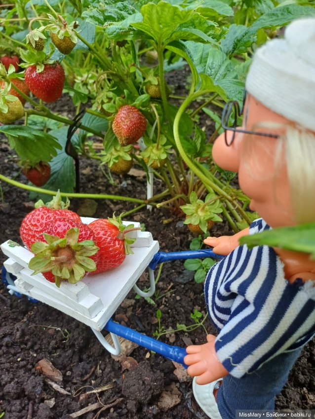 Собираем клубнику — Винтажные куклы ГДР (Немки): Бигги (фото 9)