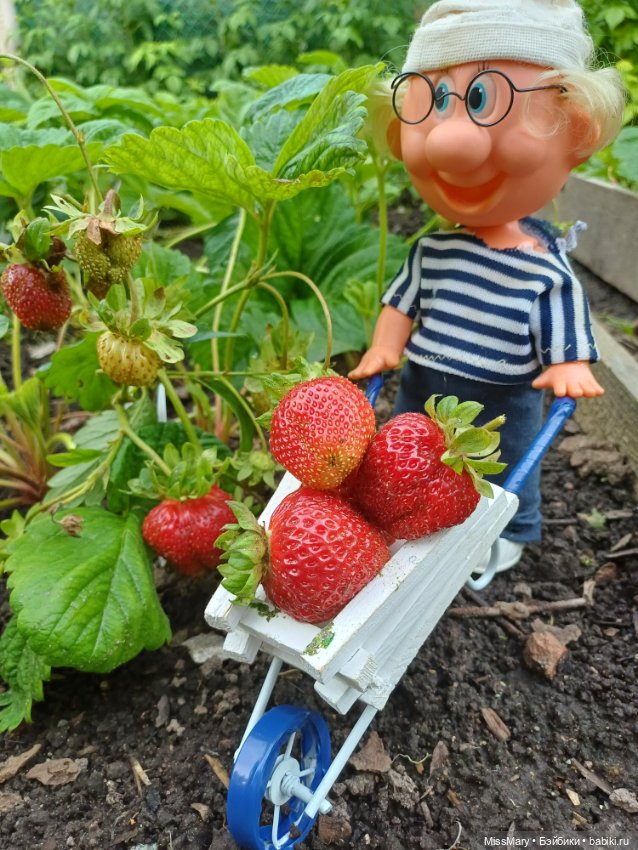 Собираем клубнику — Винтажные куклы ГДР (Немки): Бигги (фото 10)