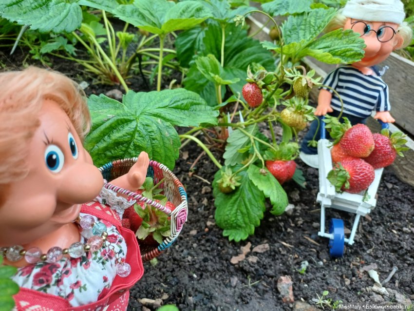 Собираем клубнику — Винтажные куклы ГДР (Немки): Бигги