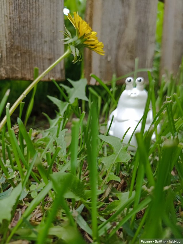 Страж урожая — Коллекционные фигурки (разное): животные (фото 2)