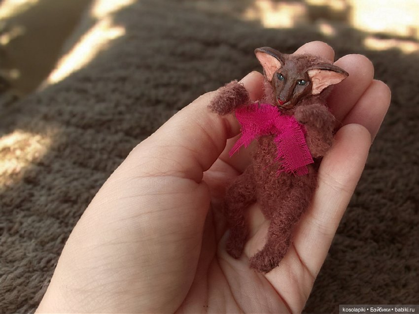 Котенок Ориентал: Brownie 🐈 (фото 2)