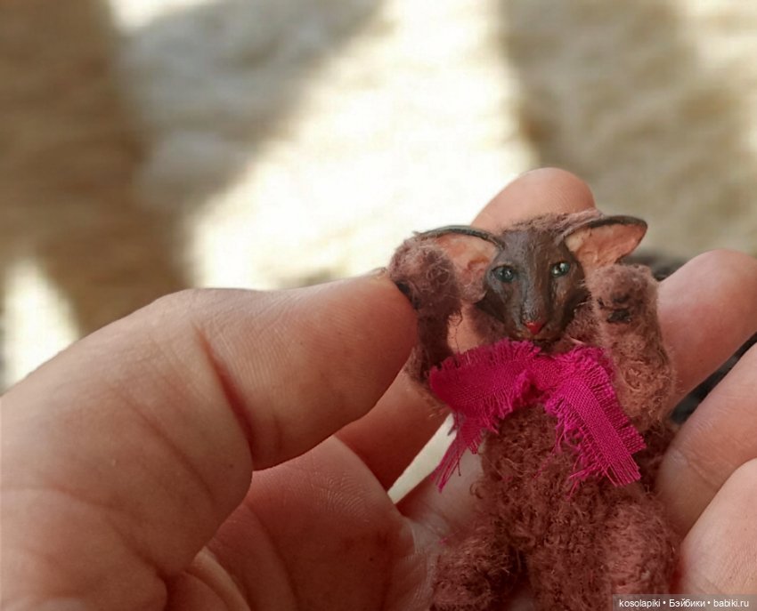 Котенок Ориентал: Brownie 🐈 (фото 3)