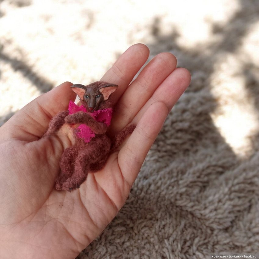 Котенок Ориентал: Brownie 🐈 (фото 4)