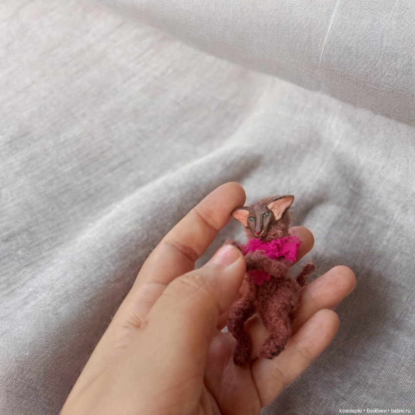 Котенок Ориентал: Brownie 🐈 (фото 5)