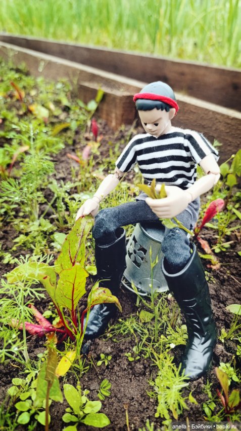 Дик. Огородник — Экшн (фото 3)