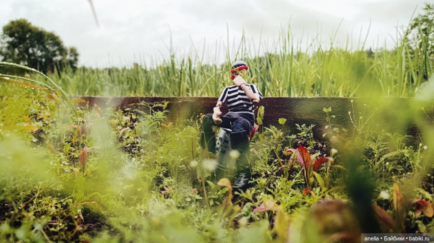 Дик. Огородник — Экшн (фото 2)