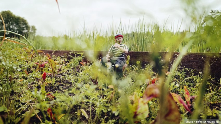 Дик. Огородник — Экшн