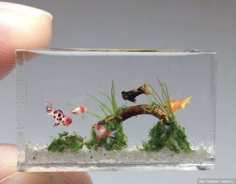 Аквариумное от Миюки Кобаяши (фото 8)