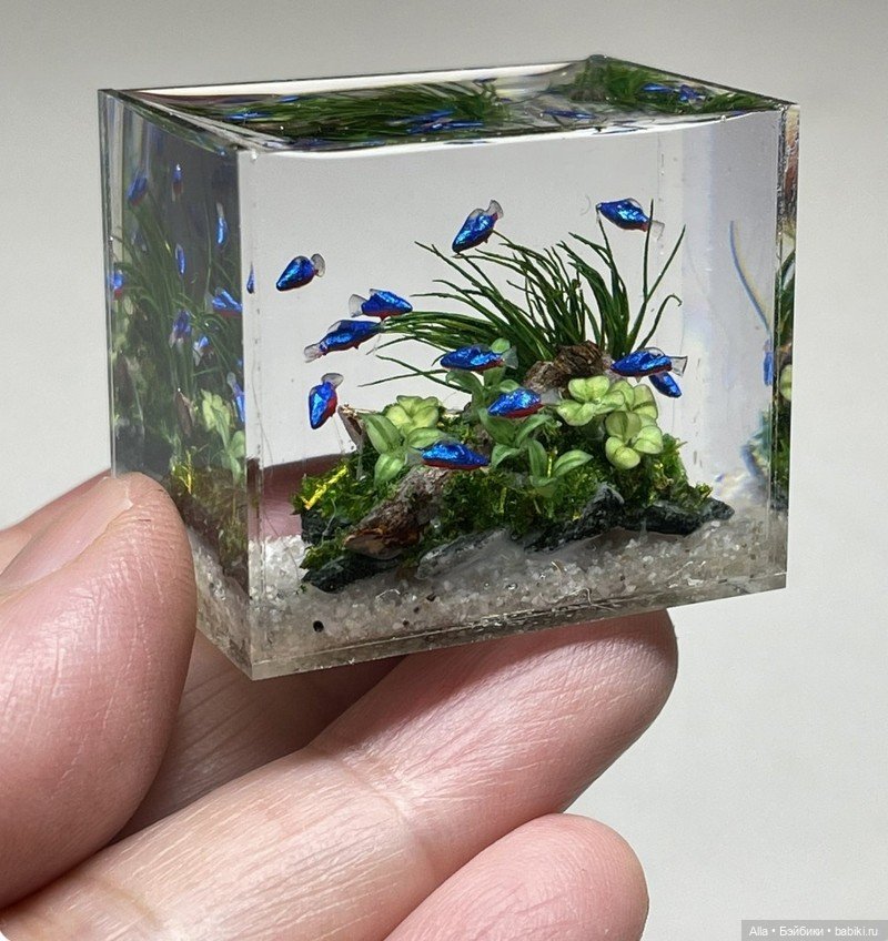 Аквариумное от Миюки Кобаяши