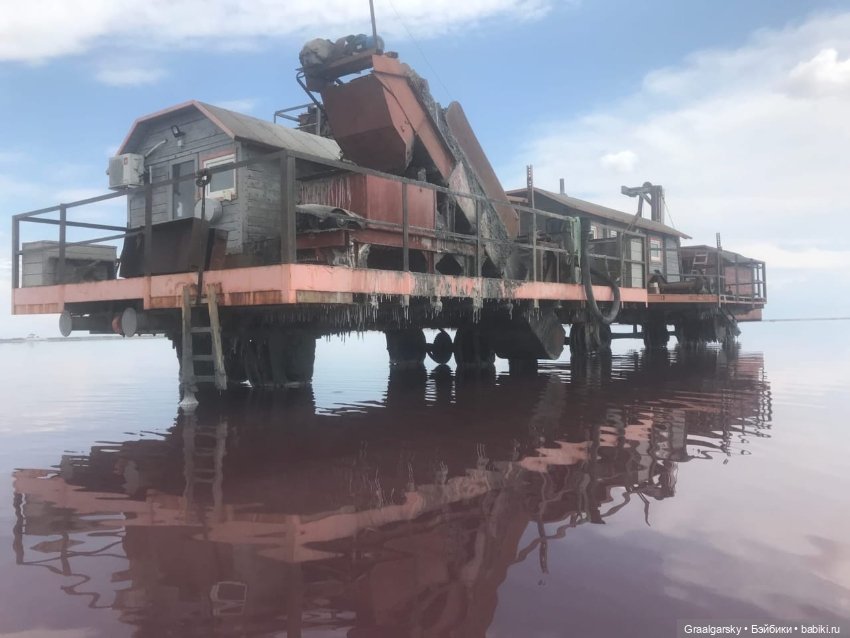 3Д-БЖД и морская фауна — 3D (фото 10)