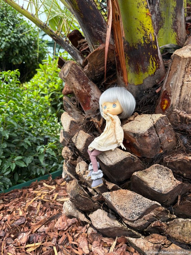 Jerry Berry, зимняя серия (фото 7)