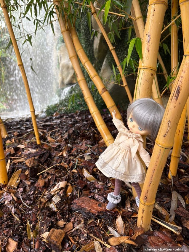 Jerry Berry, зимняя серия (фото 9)