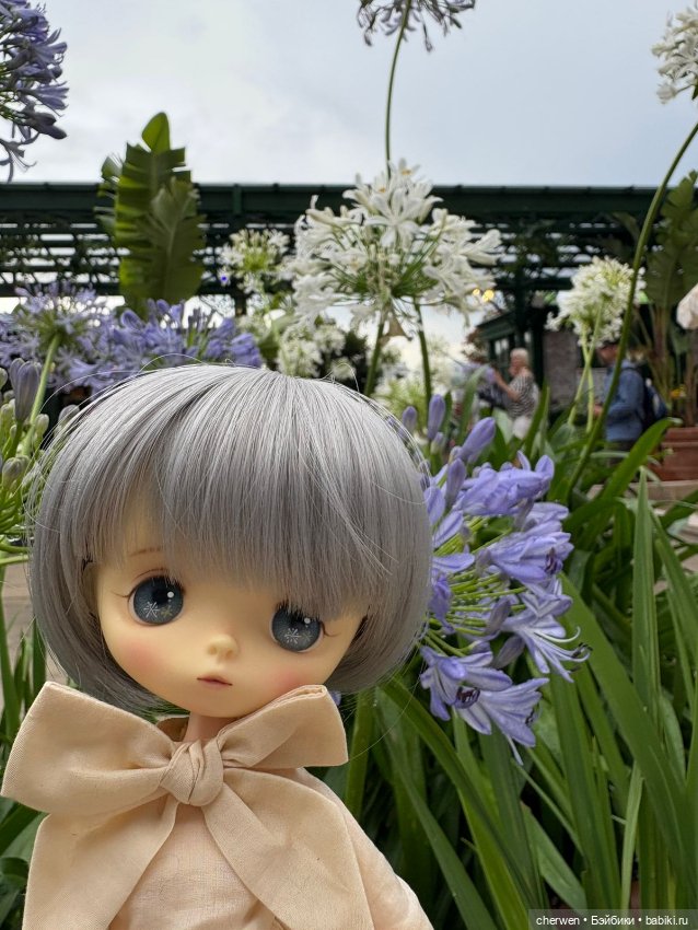 Jerry Berry, зимняя серия