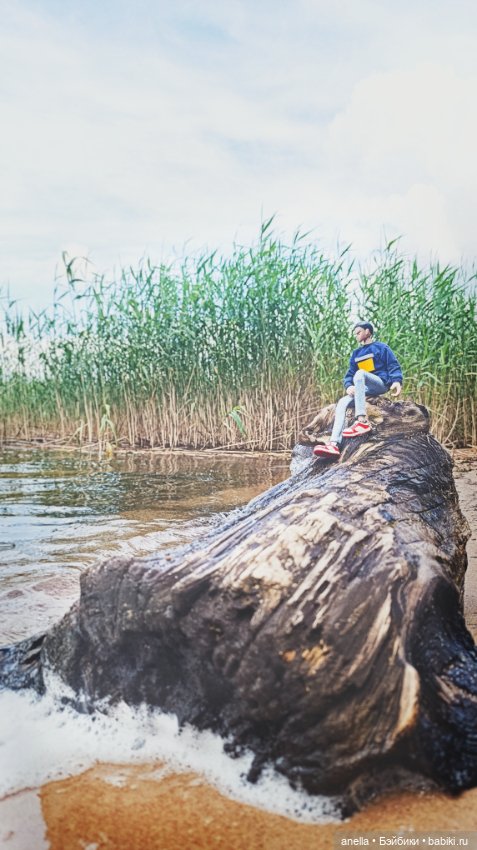 Дик. Осташков и Селигер. 1