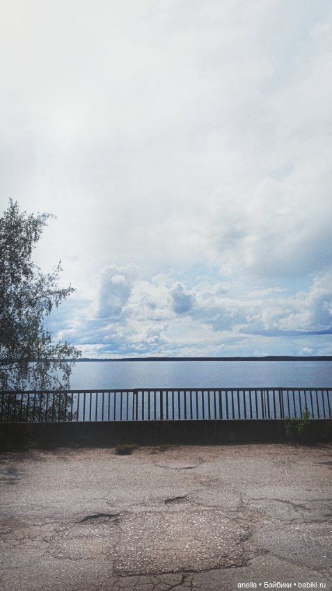 Дик. Осташков и Селигер. 1