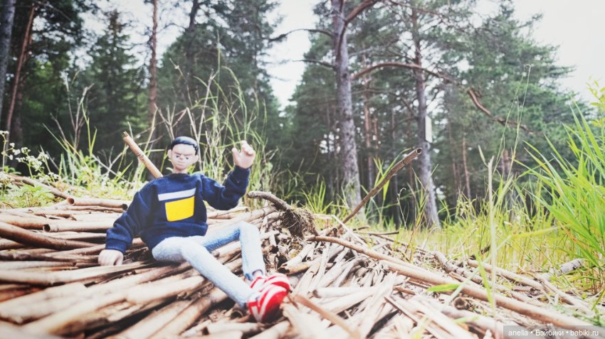 Дик. Осташков и Селигер. 1